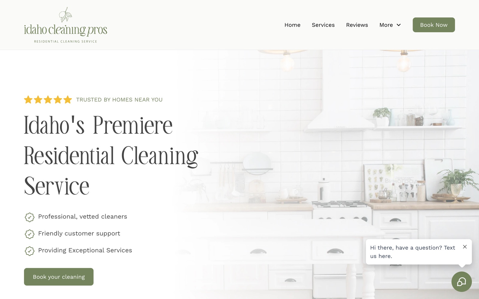 Idaho Cleaning Pros website